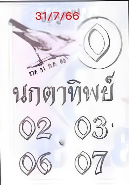 นกตาทิพย์ 31/7/66