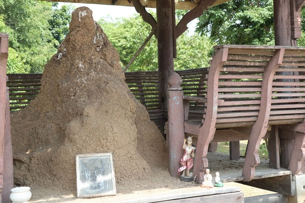 จอมปลวกคล้ายฤาษี กลางศาลาวัด-"Termite mound resembling"