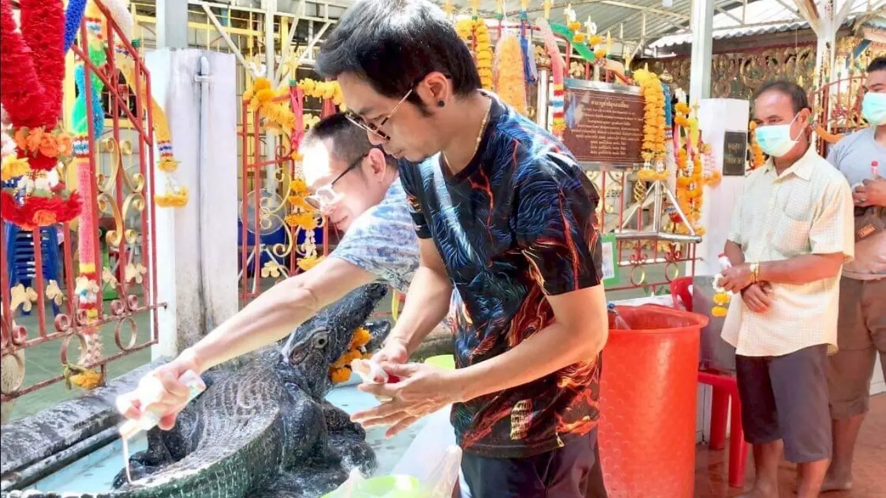 บูชาจระเข้ - "Crocodile worship"