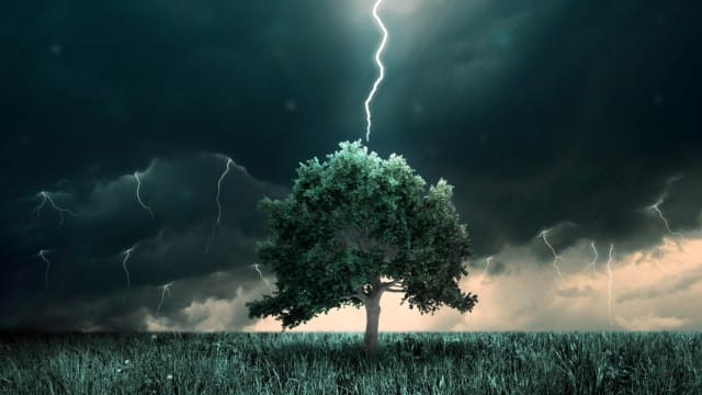ฝันว่าฟ้าผ่าต้นไม้-"Dreaming that lightning strikes a tree"