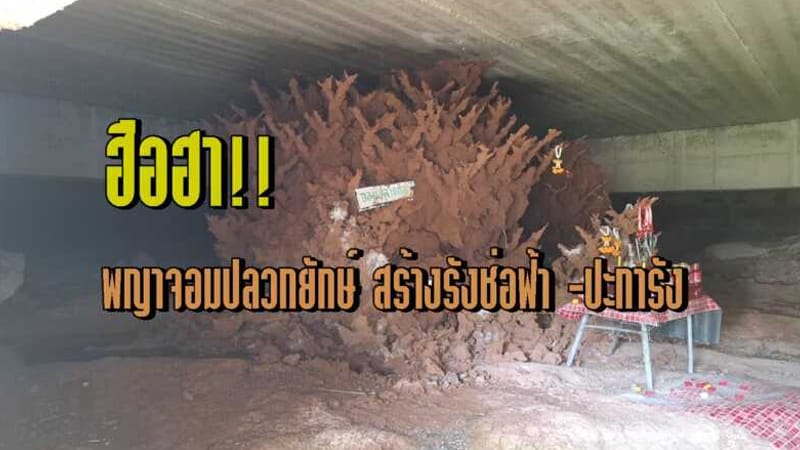 พญาจอมปลวกยักษ์-"Giant Termite Hill Phay"