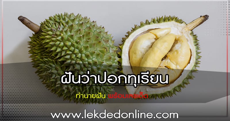 ฝันว่าปอกทุเรียน - "Dream about peeling - durian"