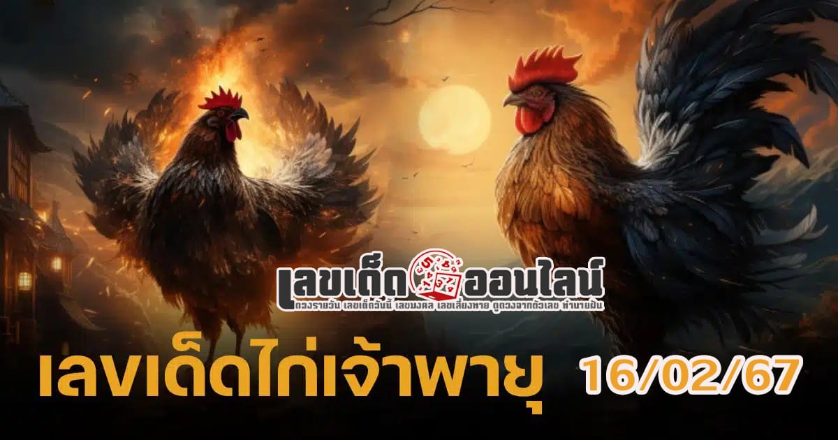 เปิดแล้ว! เลขเด็ด “ไก่ เจ้าพายุ”มาครบทั้ง 2 ตัว 3 ตัว งวด16 ก.พ. 67 คอหวยไม่ควรพลาดแนวทางแทงหวยรัฐบาลไทย