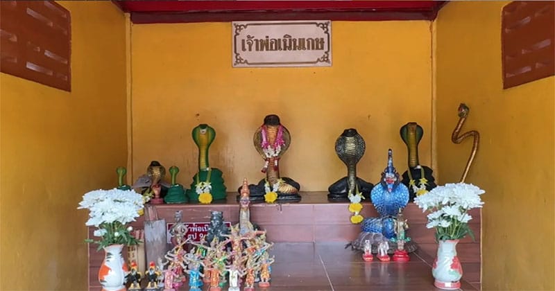 ลุ้นเลขเด็ด แก้บนศาลเจ้าพญางูใหญ่-"Win lucky numbers to make a vow at the Phaya Ngu Yai-Shrine"