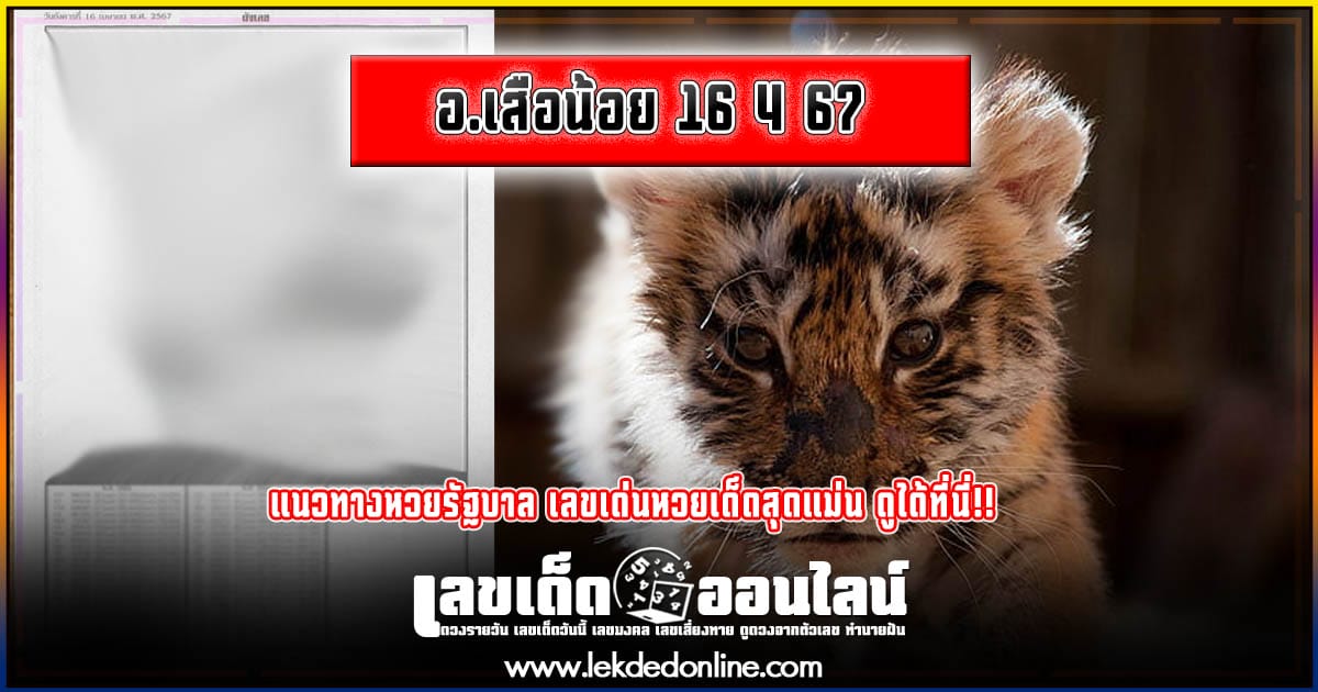 อ.เสือน้อย 16 4 67   เลขเด่นหวยดังสุดแม่นเน้นๆ คอหวยไม่ควรพลาด แนวทางแทงหวยรัฐบาลไทย