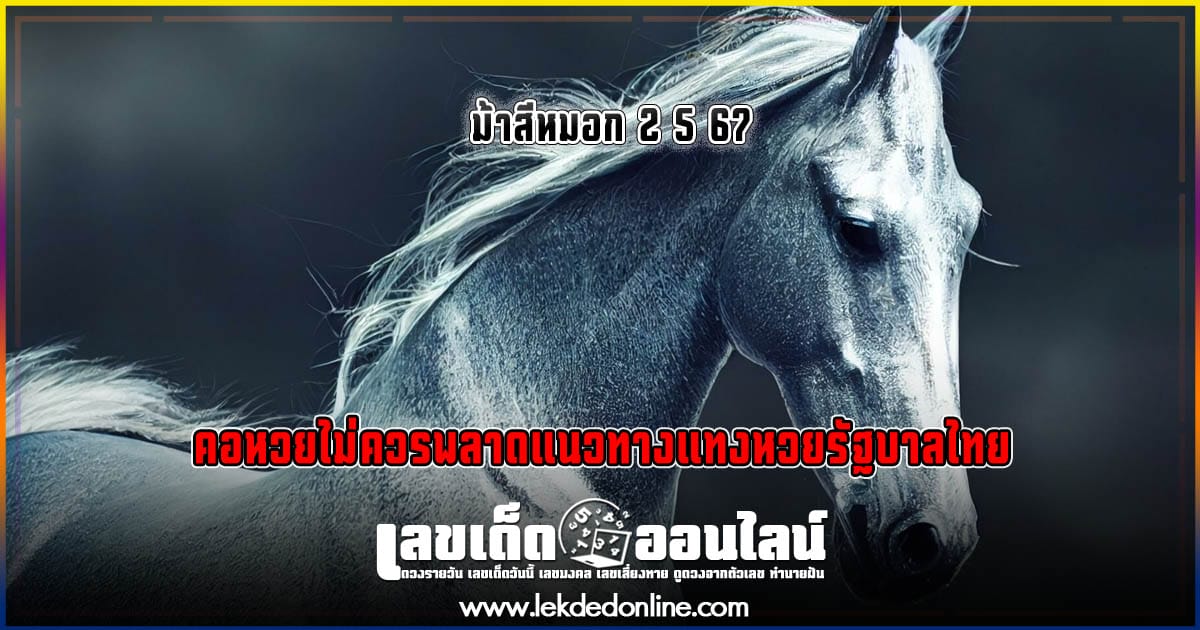 ม้าสีหมอก 2 5 67 เลขเด่นหวยดังสุดแม่นเน้นๆ คอหวยไม่ควรพลาด แนวทางแทงหวยรัฐบาลไทย