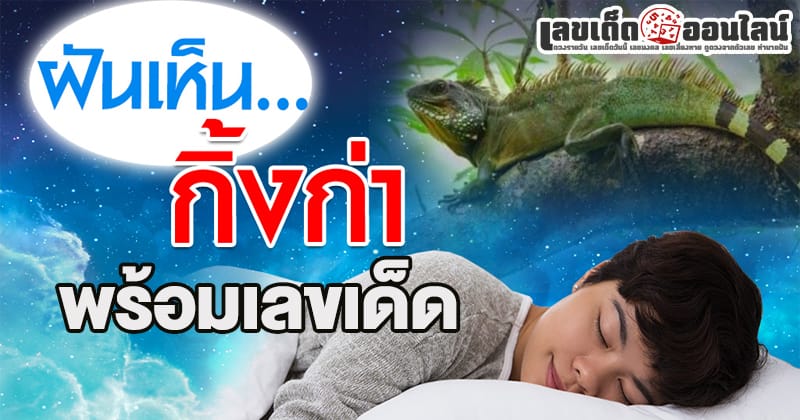 ฝันเห็นกิ้งก่ากัด-"Dream of seeing a lizard bite"