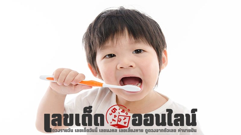 ฝันเห็นแปรงสีฟัน เลขเด็ด-"Dreaming of seeing a toothbrush - lucky numbers"