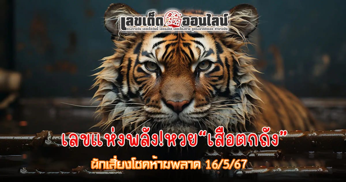 มาแล้วหวย เสือตกถัง 16 5 67  แนวทางหวยรัฐบาลไทย เลขหวยเด็ดสุดแม่น ดูได้ที่นี่!
