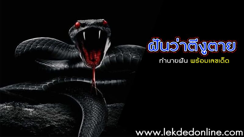 ฝันว่าตีงูตาย-"Dreamed of hitting a snake to death"