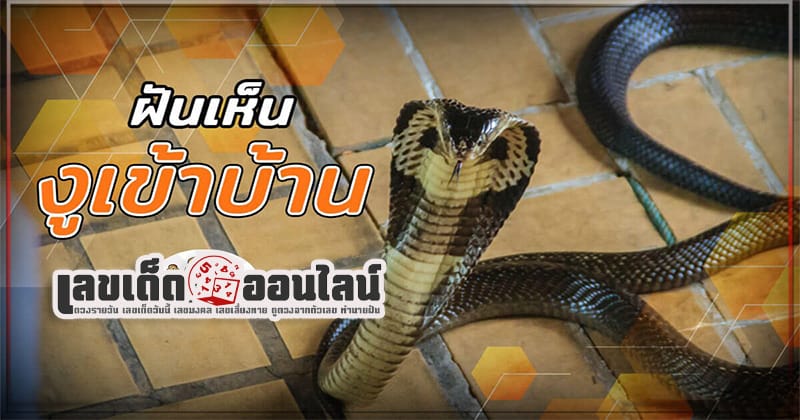 ฝันว่างูเข้าบ้าน - "Dreamed that a snake entered. the house"