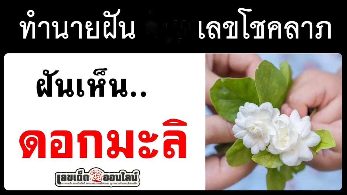 ฝันเห็นดอกมะลิ -"Dream of seeing jasmine flowers"