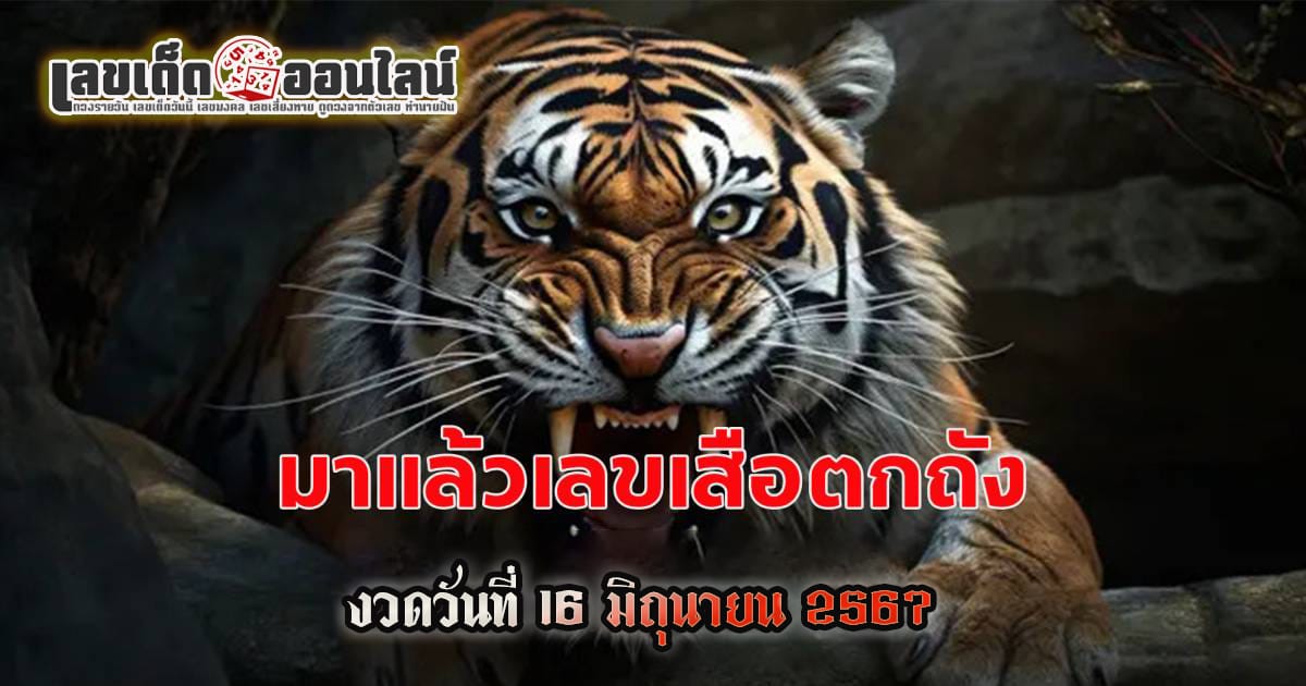 เสือตกถัง 16 6 67 เลขเด่นหวยดังสุดแม่นเน้นๆ คอหวยไม่ควรพลาด แนวทางแทงหวยรัฐบาลไทย