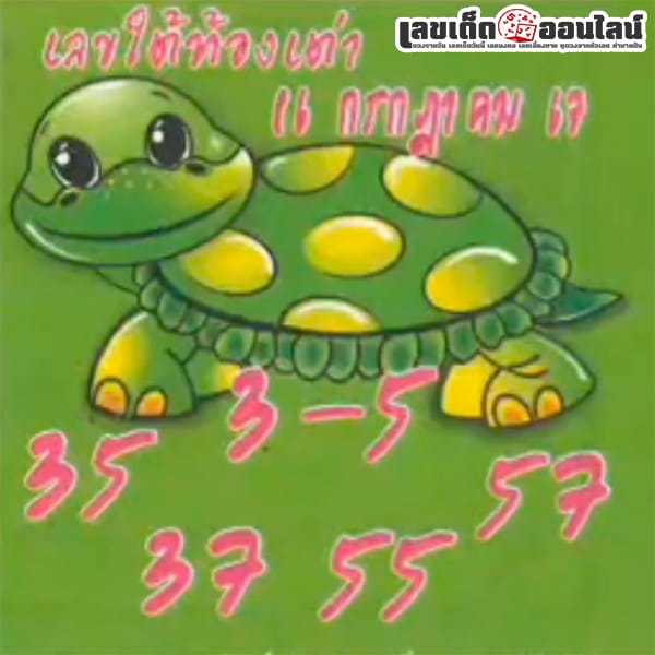 เลขใต้ท้องเต่า 16 7 67-"The number under the turtle's belly is"