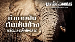 ฝันเห็นช้างตัวใหญ่มาก 1 ตัว -"Dreamed of seeing a very large elephant."