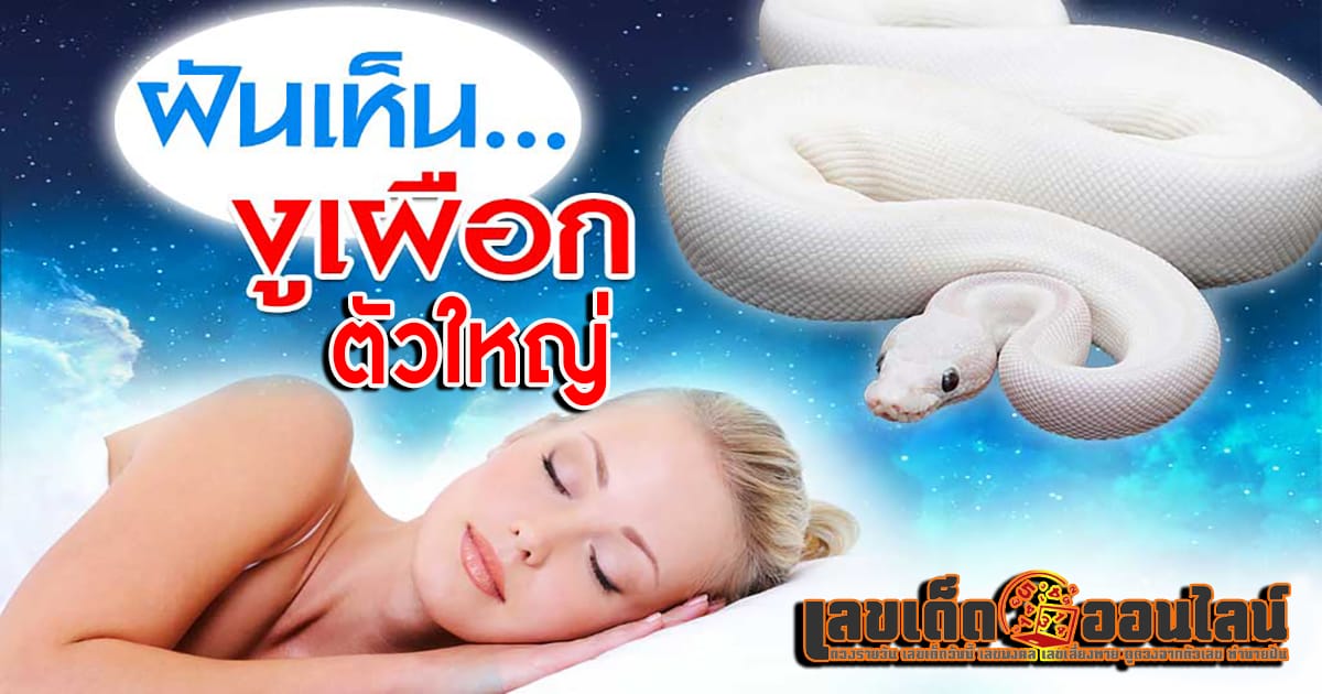 ฝันเห็นงูเผือกตัวใหญ่ - "Dream interpretation/numerology "