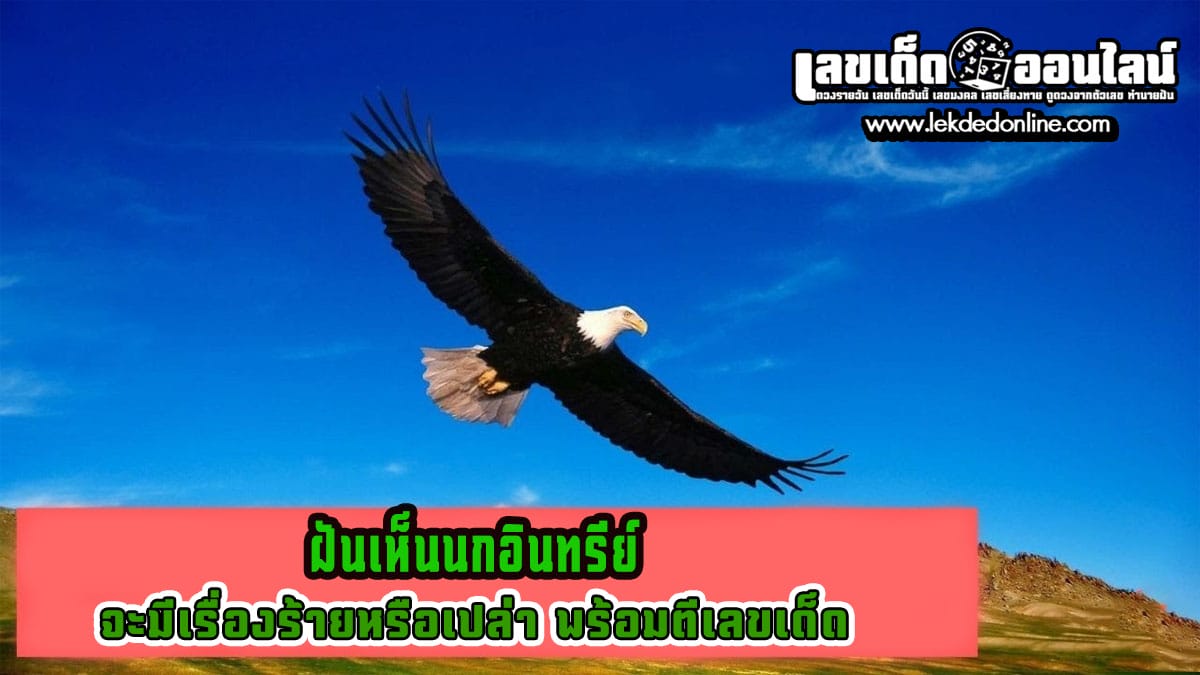 ฝันเห็นนกอินทรีย์ -"Dream of seeing an eagle"