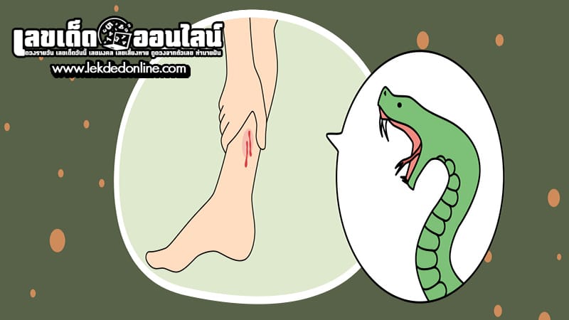 ฝันว่างูกัดเท้า-"Dream that a snake bites your foot"