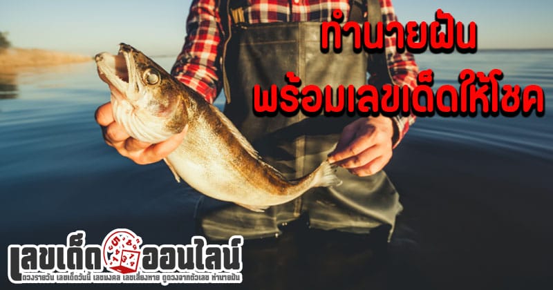 ฝันว่าได้ตกปลาเลขเด็ด-"Dreamed of catching a lucky number of fish."