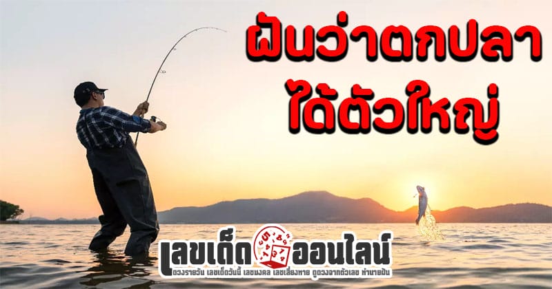 ฝันว่าตกปลาได้ตัวใหญ่หลายตัว-"Dreaming of fishing and catching many lucky numbers."