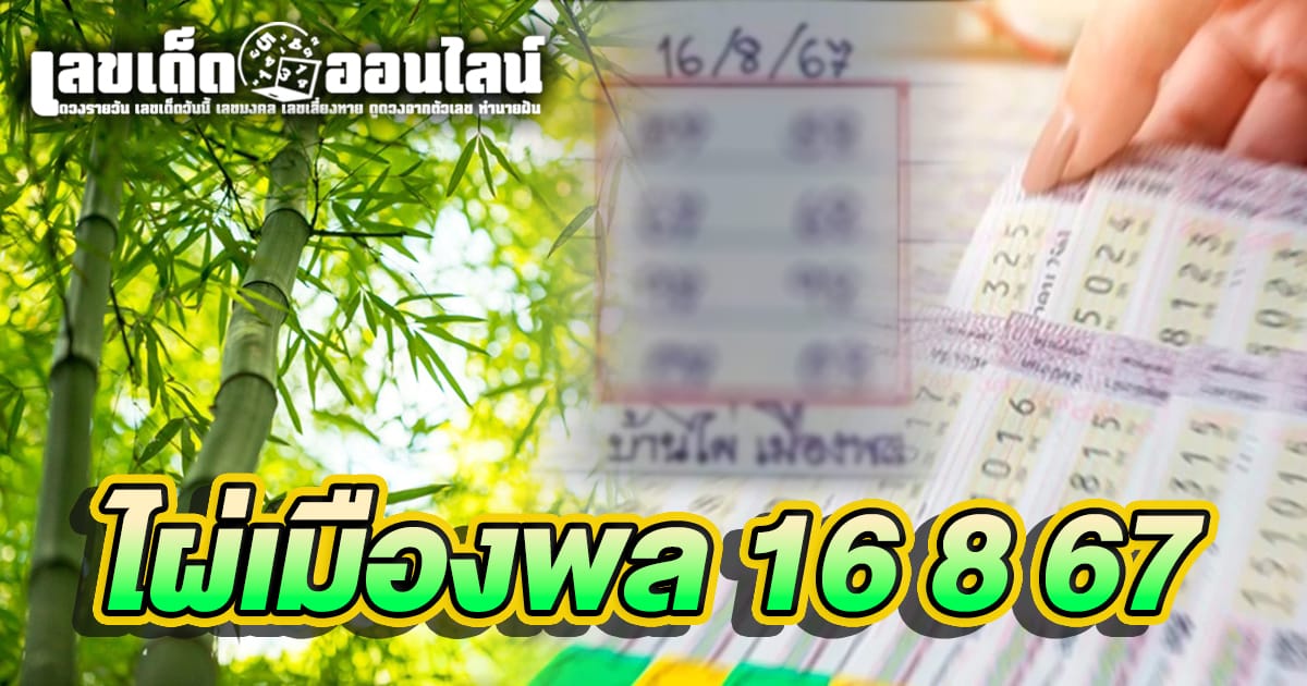 ไผ่เมืองพล 16 8 67-''Phai Muang Phon 16 8 67''