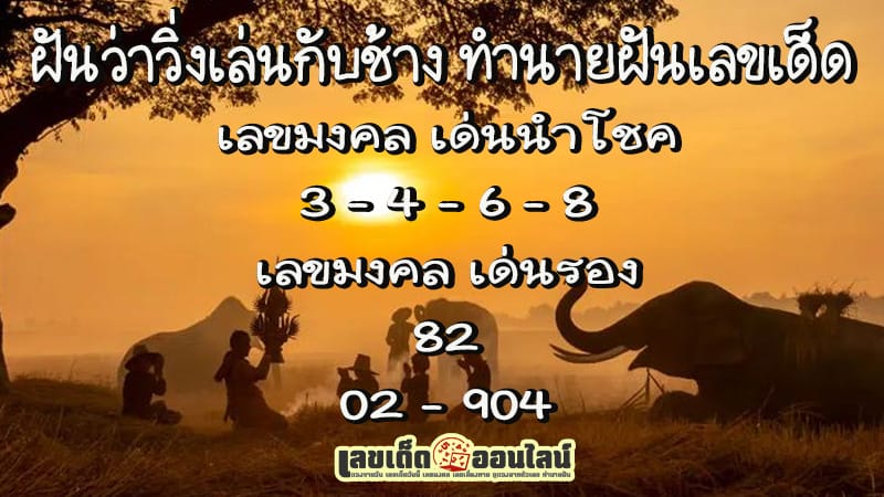 ฝันเห็นช้าง-"Dream of seeing an elephant"