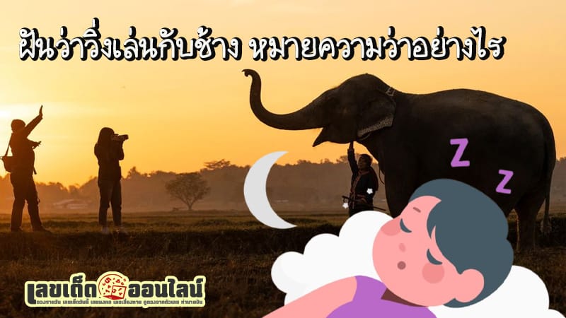 ฝันว่าวิ่งเล่นกับช้าง-"Dreaming of running with elephants"