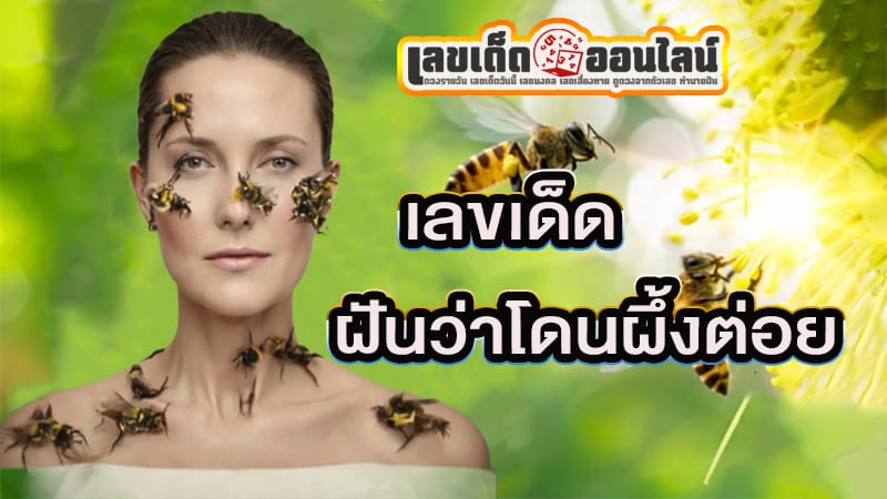 ฝันว่าโดนผึ้งต่อย -"Dreaming of being stung by a bee"