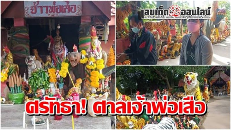 สายมูฟันน้ำนม - "Milk teeth amulet"