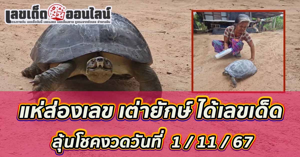 แห่ส่องเลข เต่ายักษ์ -"Parade to look at giant turtle numbers"