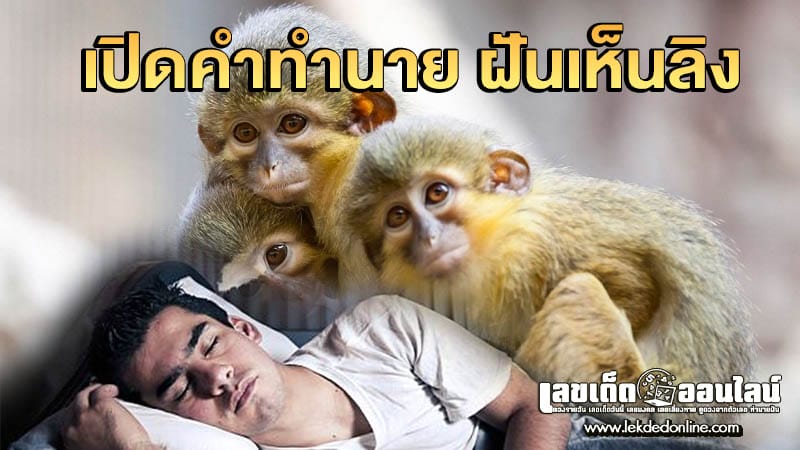 ฝันเห็นลิงตัวใหญ่ - "Dream of seeing a big monkey"