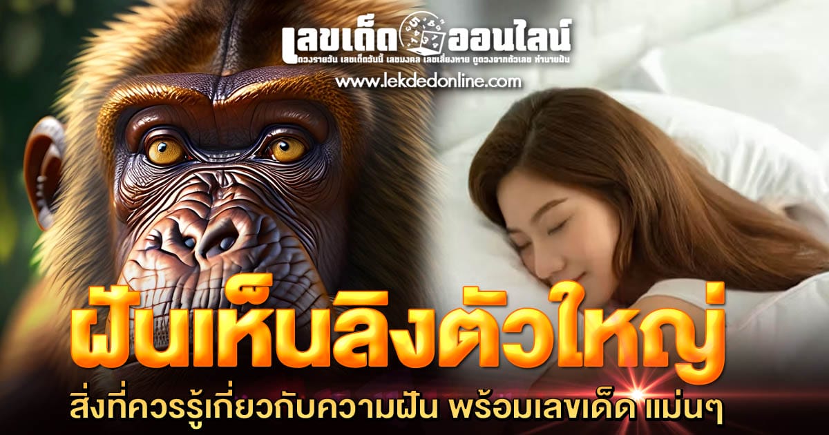 ฝันเห็นลิงตัวใหญ่ - "Dream of seeing a big monkey"