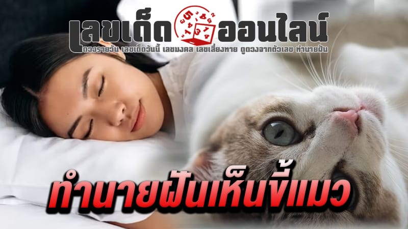 ฝันเห็นขี้แมว - "Dream of seeing cat poop"