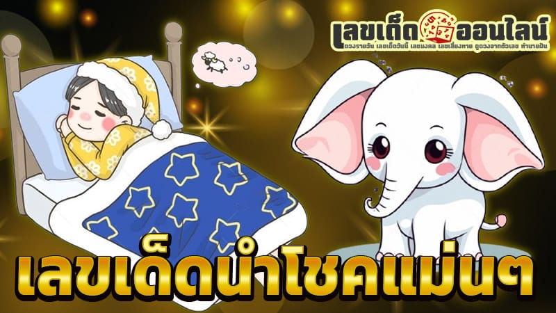 ฝันเห็นช้างเผือกเลขเด็ด -"Dreaming of seeing a white elephant, lucky number"