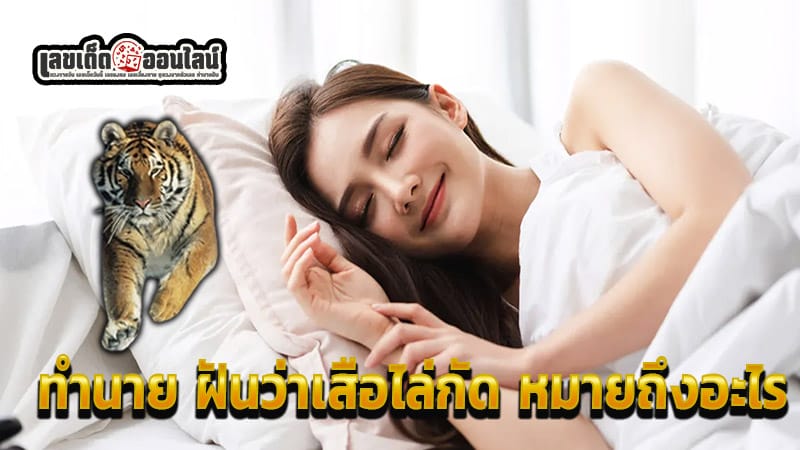 ฝันว่าเสือไล่กัด - .Dreaming. of being chased and bitten by a tiger.