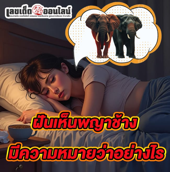 ฝันเห็นช้างหมายถึงอะไรคะ -"What does it mean to dream of seeing an elephant?"