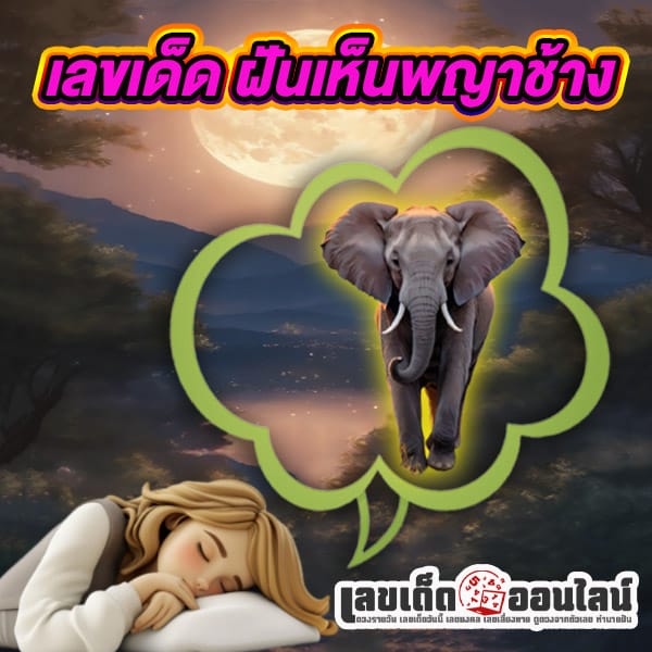 ฝันเห็นพญาช้าง -"Dream of seeing the elephant king"