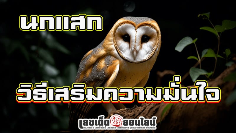 นกแสก ความเชื่อ-"owl belief"