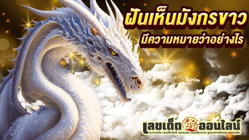 ฝันถึงมังกรขาว -"Dreaming of a white dragon"