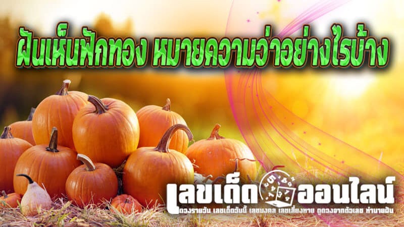 ฝันเห็นฟักทอง-''Dream of seeing a pumpkin''