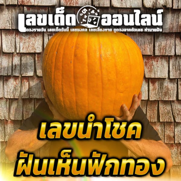 ฝันเห็นฟักทองสีเหลือง-''Dream of seeing a yellow pumpkin''