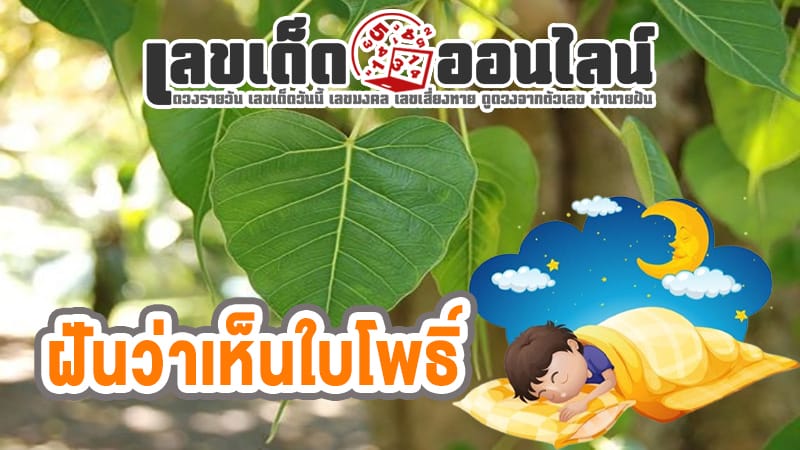 ฝันว่าเห็นใบโพธิ์-"Dream-of-seeing-two-large-Bodhi-trees"