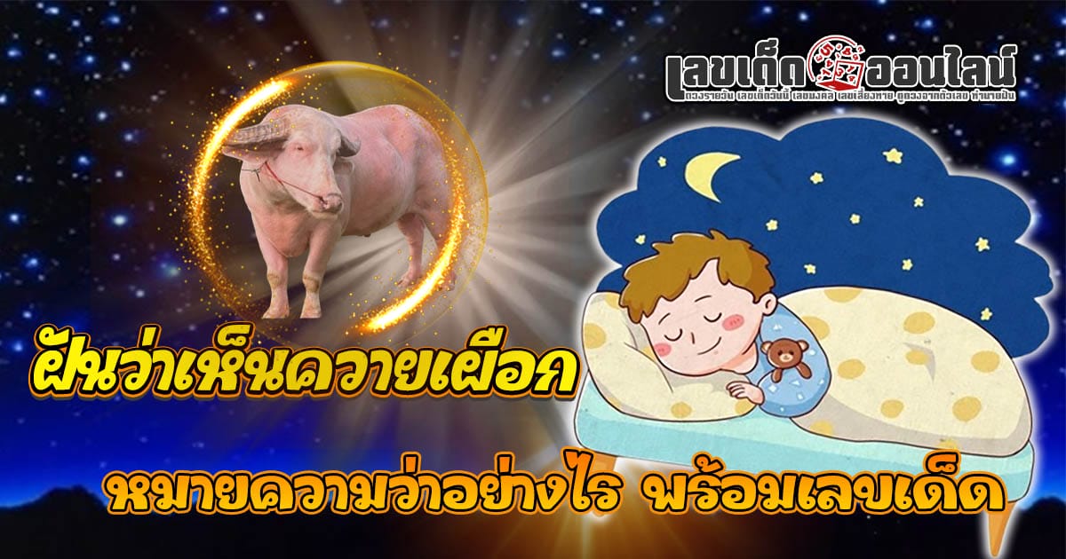 ฝันเห็นควายเผือก - "Dream interpretation/numerology"