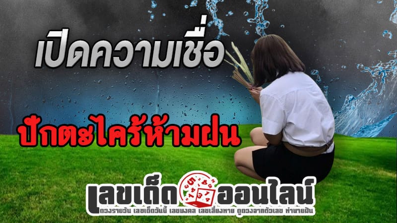 ปักตะไคร้ห้ามฝน-"Plant lemongrass to repel rain. Features"