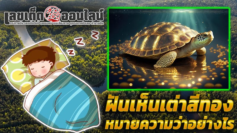 ฝันเห็นเต่าสีทอง-''Dream of seeing a golden turtle''