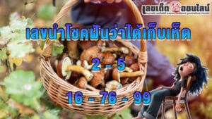 ฝันว่าได้เก็บเห็ดฟาง-"Dreamed of picking straw mushrooms"