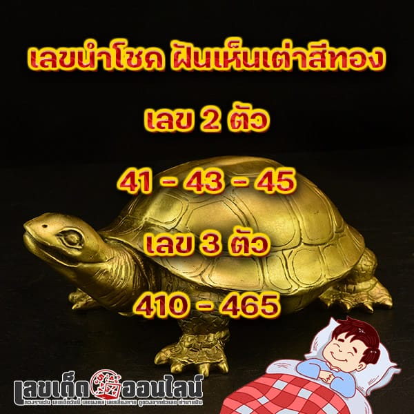 ฝันเห็นเต่าสีทองตัวใหญ่-''Dreamed of seeing a big golden turtle''