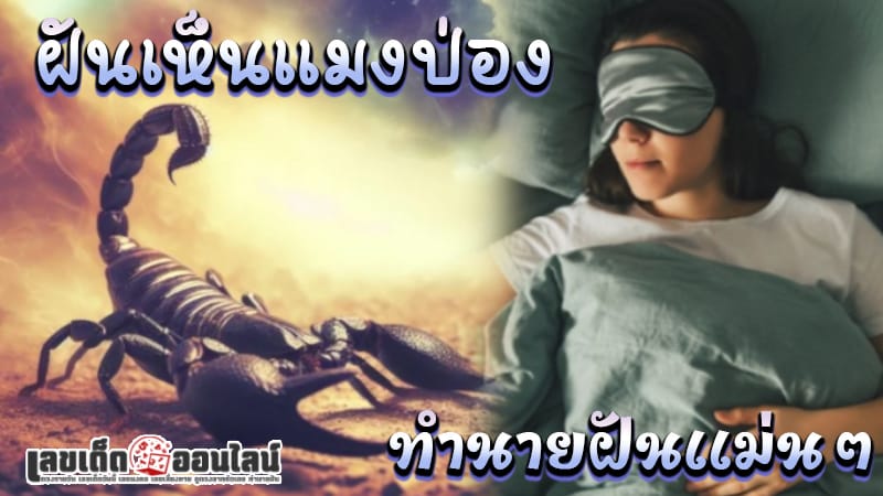 ฝันเห็นแมงป่อง -"Dreaming of a scorpion"