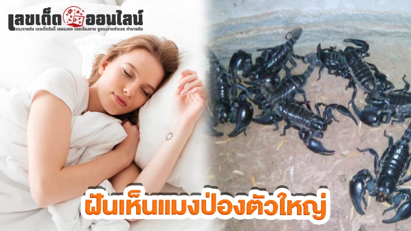 ฝันเห็นแมงป่องตัวใหญ่  -"I dreamed of seeing a big scorpion."