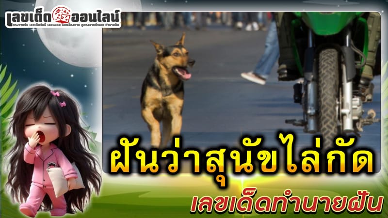 ฝันว่า สุนัข ไล่กัด เลขเด็ด-"Dreaming that a dog chases and bites, lucky number"